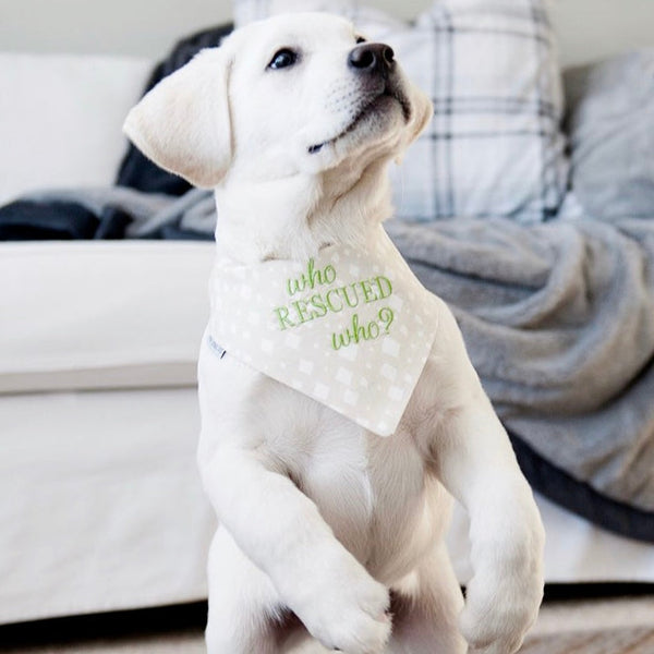 Who Rescued Who? Embroidered Dog Bandanas Ready to Ships -SALE PAGE