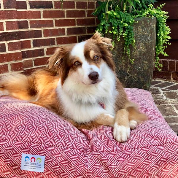 Embroidered dog clearance bed