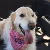 Red White and Blue White Gingham Dog Bandanas Personalized with name