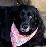 Personalized Pink Floral Dog Bandanas with Aqua, Oranges & Yellow