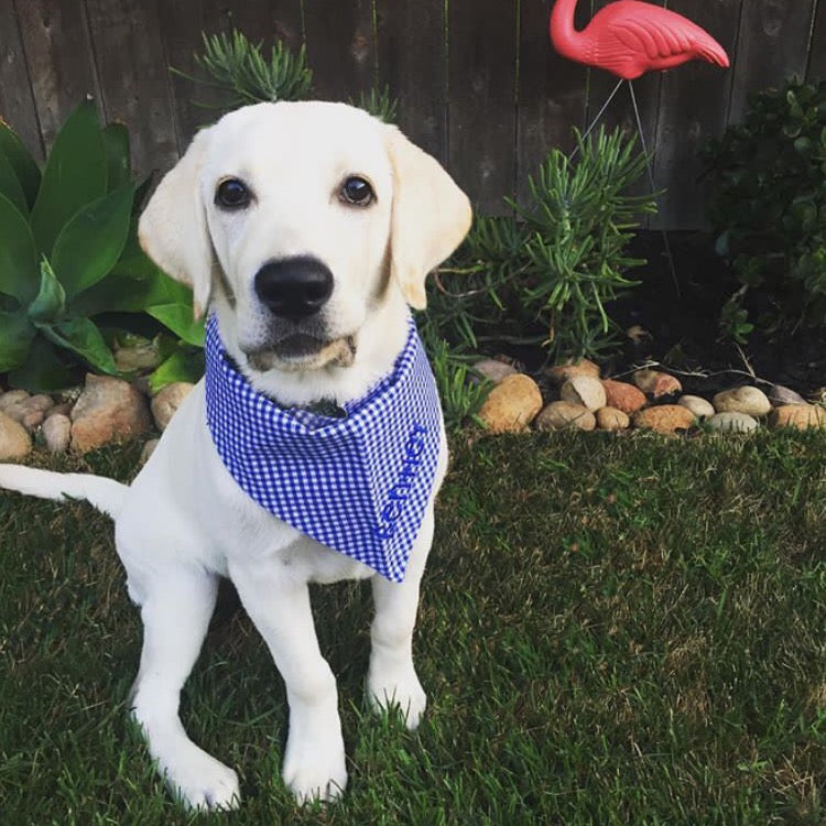 Red White and Blue White Gingham Dog Bandanas Personalized with name