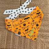 NEW 2026 Trick or Treat Halloween Bandana Personalized with Dogs Name