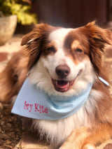 Half Price Friday - Seersucker Embroidered Dog Bandana with Personalization in Mint