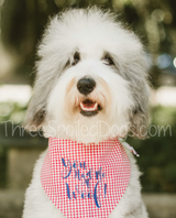 Red White and Blue White Gingham Dog Bandanas Personalized with name