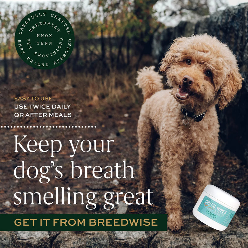 Breedwise Pet Provisions - Dental Wipes for Dogs
