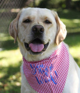 Red White and Blue White Gingham Dog Bandanas Personalized with name