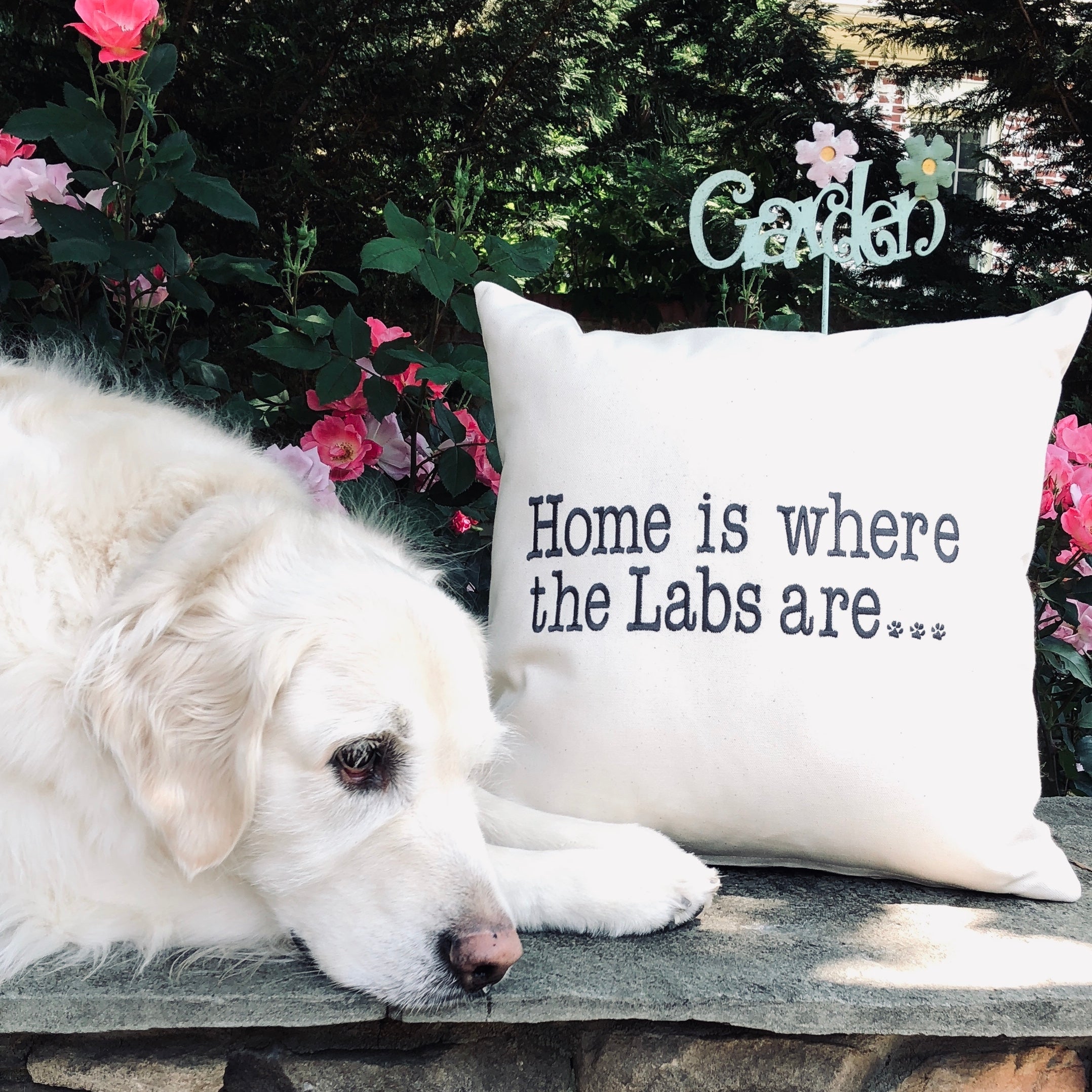 Throw Pillows Home is Where the Golden is