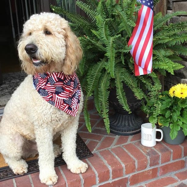 Patriotic Flag Dog Bandana Personalized with Name