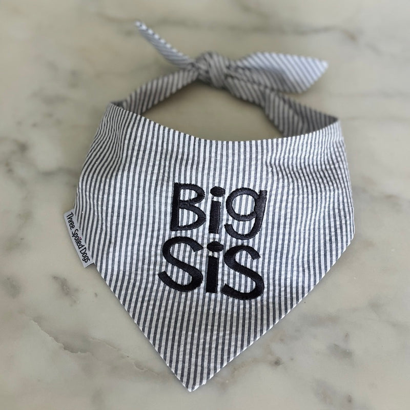 Big Sister Dog Bandanas Personalized Your Way