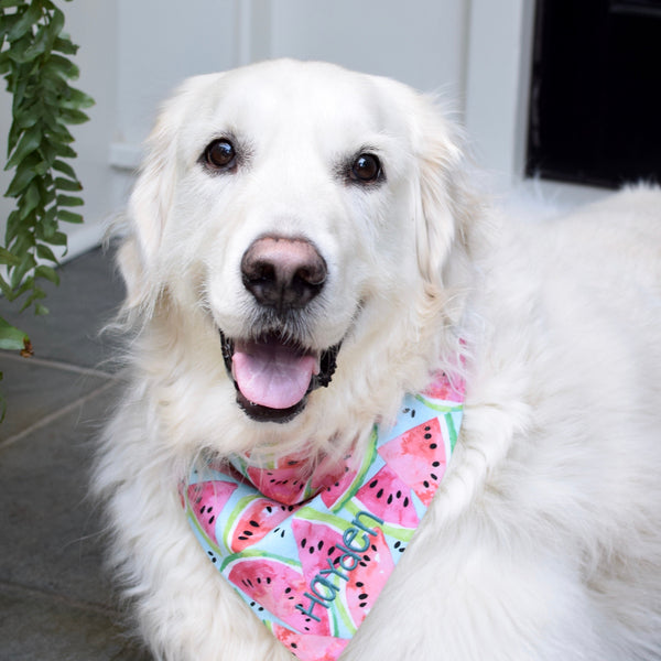 Summer Bomb Pops and Watermelon Dog Bandanas Embroidered with Name