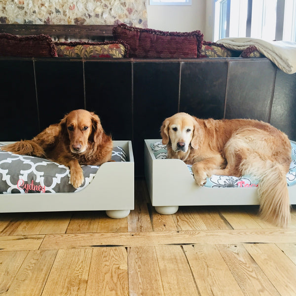 two_three_spoiled_dogs_wood_dog_beds_with_golden_retriever_dogs