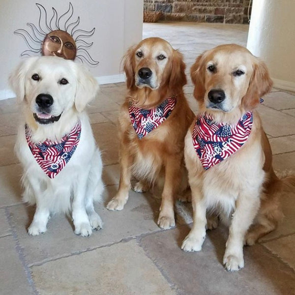 Patriotic Flag Dog Bandana Personalized with Name