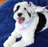 three spoiled dogs blue gingham dog bandana personalized with Luna on a Portuguese Water Dog sitting on blue blanket