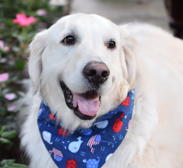 SOLD OUT -Patriotic Whales Summer Dog Bandana with Embroidered Name