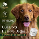 Breedwise Pet Provisions -Calming Bites - Hickory Bacon