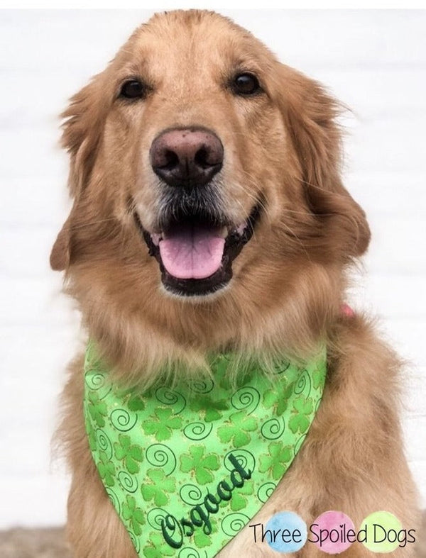 three spoiled dogs st patricks day bandana embroidered with osgood o golden retriever