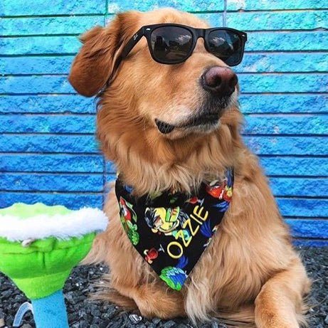 Margaritaville and Summer Sunglasses Embroidered Dog Bandanas