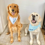 Three Spoiled Dogs Seersucker Bandanas