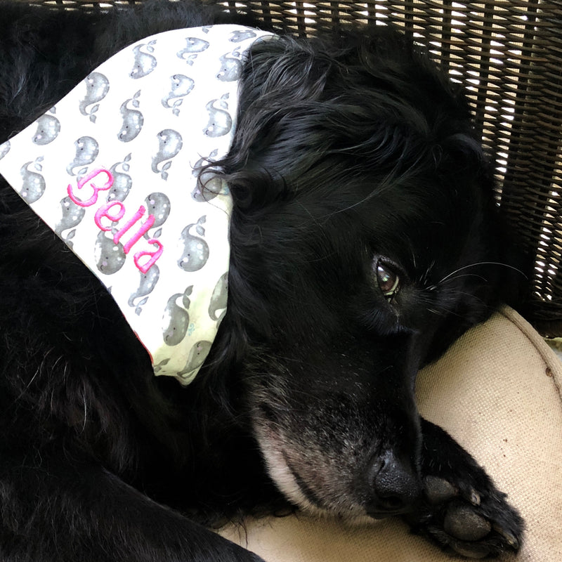 Summer Whales Red White and Blue Bandanas with Dogs Name Monogrammed