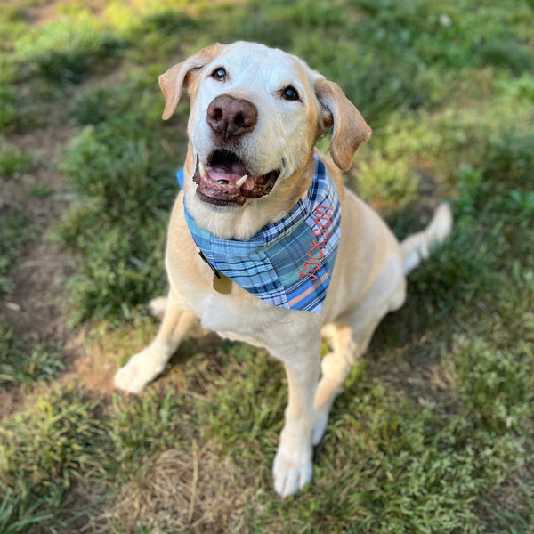 Madras Patchwork Dog Bandanas Personalized with Pets Name