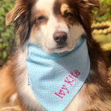 Half Price Friday - Seersucker Embroidered Dog Bandana with Personalization in Mint
