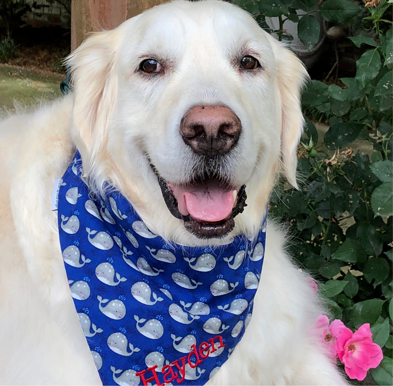 Summer Whales Red White and Blue Bandanas with Dogs Name Monogrammed