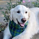 Blue & Green Plaid Flannel Custom Dog Bandanas with Name Embroidered