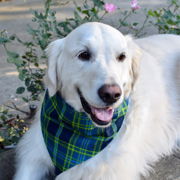 Blue & Green Plaid Flannel Custom Dog Bandanas with Name Embroidered - $5 Friday