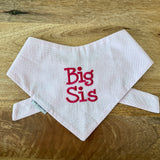 Big Sister Dog Bandanas Personalized Seersucker with a Name
