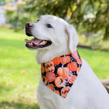 three spoiled dogs personalized pumpkin harvest dog bandana on a white labrador retreiverdog bandana