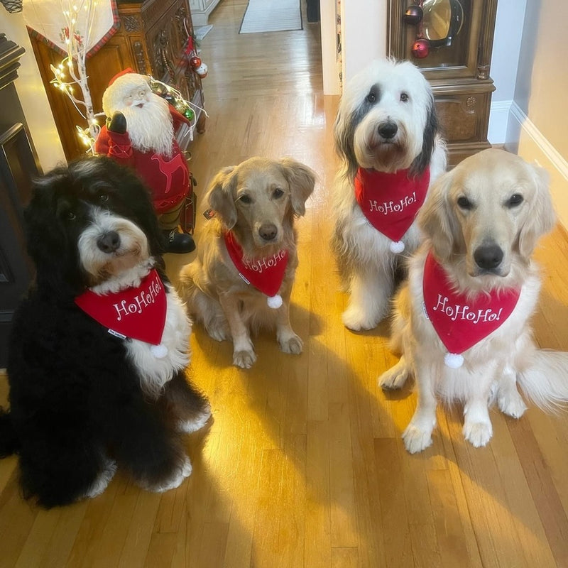 Ho Ho Ho! Christmas Dog Bandanas - Embroidered Reversible Classic Tie Scarf