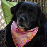Personalized Pink Floral Dog Bandanas with Aqua, Oranges & Yellow