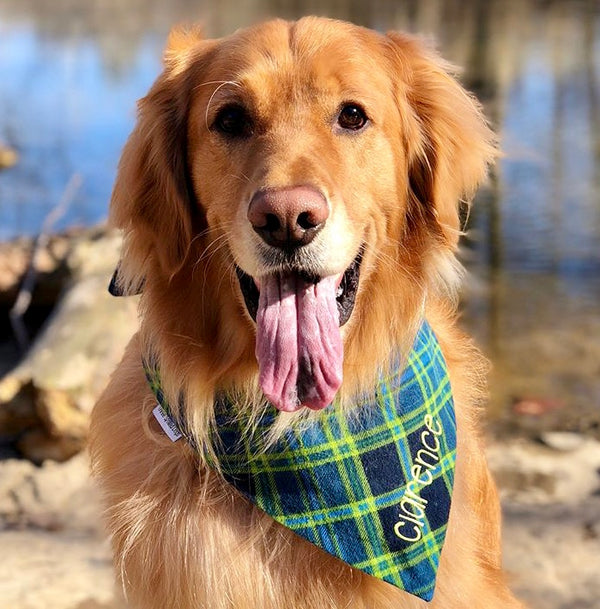 Blue & Green Plaid Flannel Custom Dog Bandanas with Name Embroidered - $5 Friday