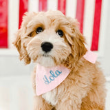 three_spoiled_dogs_pink_seersucker_bandana_embroidered_in_turquoise_on_a_golden_puppy