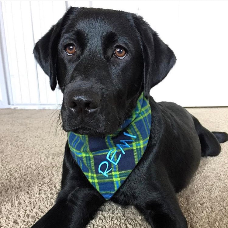 Blue & Green Plaid Flannel Custom Dog Bandanas with Name Embroidered