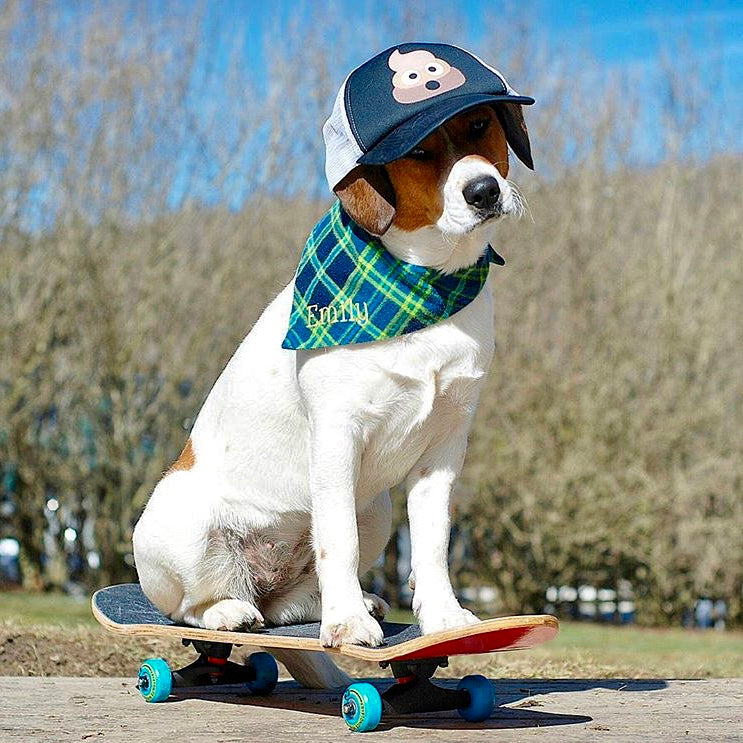 Blue & Green Plaid Flannel Custom Dog Bandanas with Name Embroidered