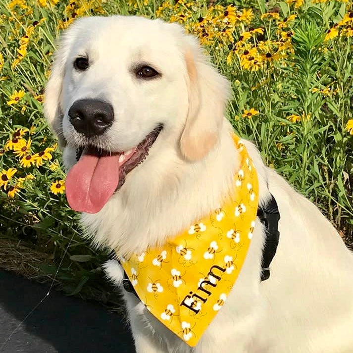 Bumble Bee Custom Dog Bandanas with Name Embroidered