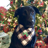 black and white buffalo plaid with christmas holly and pups name
