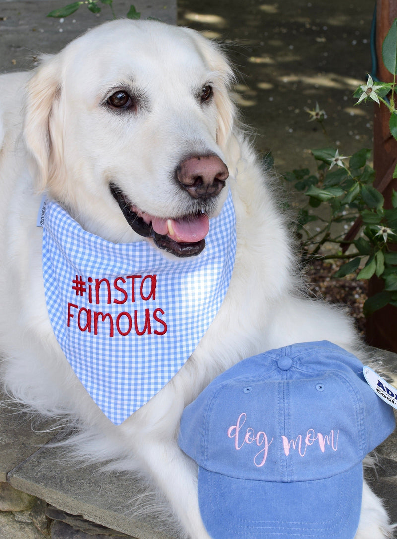 three spoiled dogs insta famous blue gingham bandana on a english golden and a blue dog mom hat 