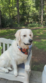 Ghosts & Pumpkin Halloween Bandana Personalized with Dogs Name