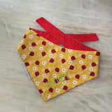 Lady Bugs Custom Dog Bandanas Personalized with a Name