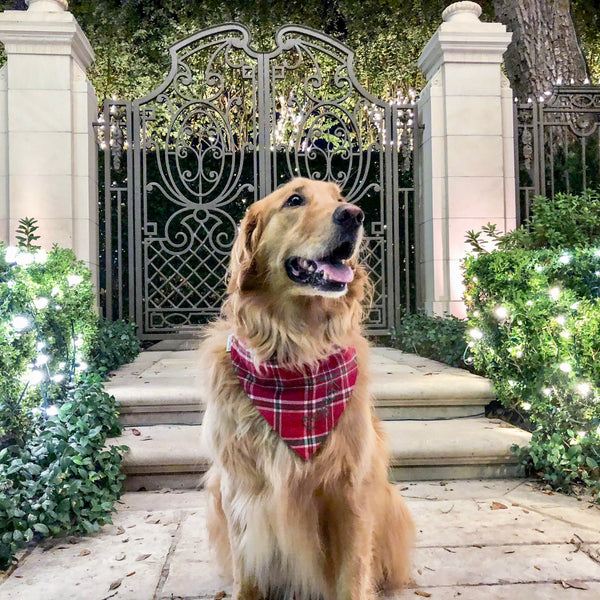 Holly Jolly Flannel Dog Bandana Christmas Plaid | Personalized with Pets Name