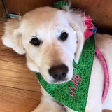 three spoiled dogs st patricks day bandana embroidered with polly on a golden retriever
