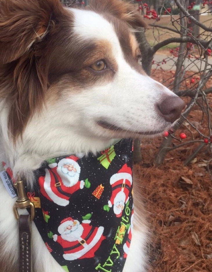 three spoiled dogs santa claus personalized bandana on black