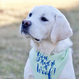 you had me at woof three spoiled dogs gingham bandana
