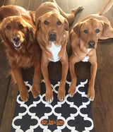 Quatrefoil Dog Bowl Placemats with Personalization