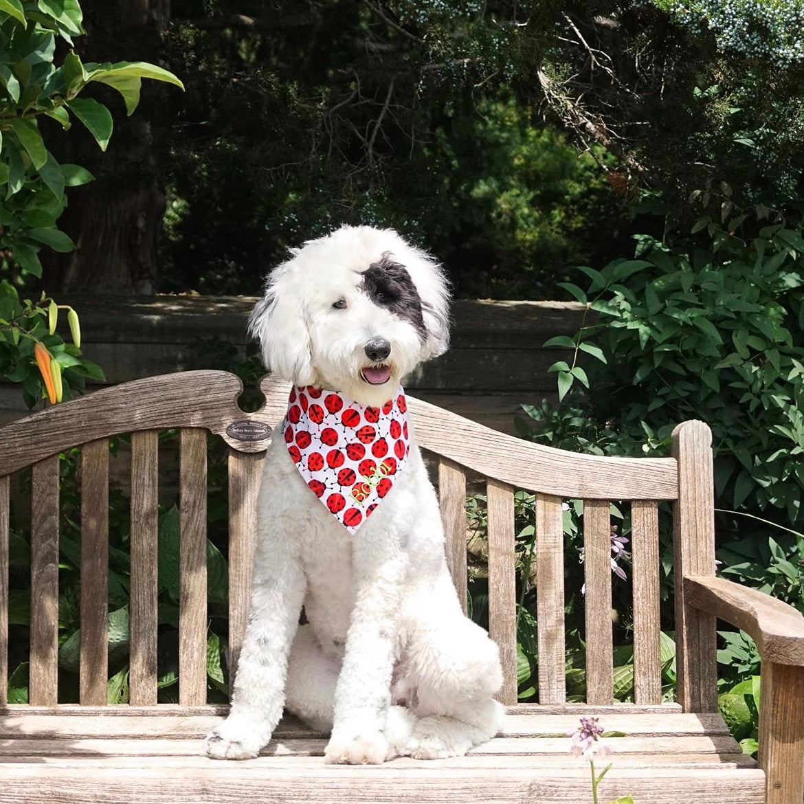 Pineapples Pink Lemons Limes and Watermelon Personalized Dog Bandana Three Spoiled Dogs Boutique