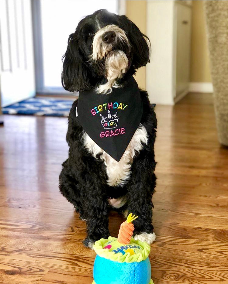 Happy Birthday Dog Bandana with Personalization