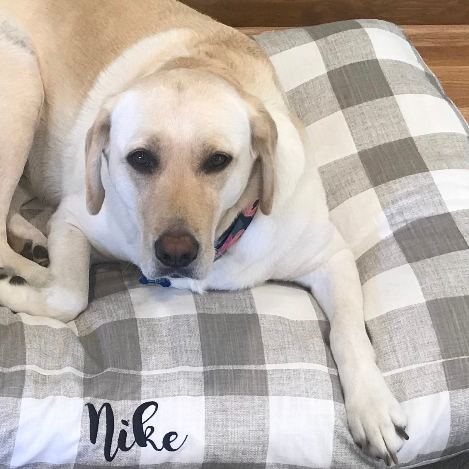 Buffalo check cat bed sale