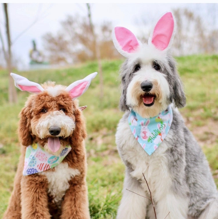 Easter Reversible Pet Bandanas Embroidered with a Name